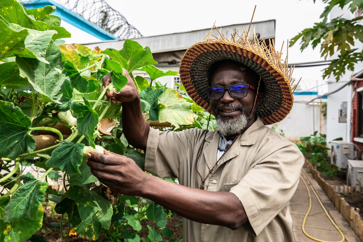 WFP_Ghana's tweet photo. 2⃣0⃣2⃣3⃣ comes with 12 months of opportunities to:

☑️Live healthily 
☑️Help #EndHunger.
☑️Transform #FoodSystems
☑️Take pride in your efforts

Go into agriculture with a lot of passion, consistency, and commitment, and the end result is endless🎊. https://t.co/Zz1jduErFJ
