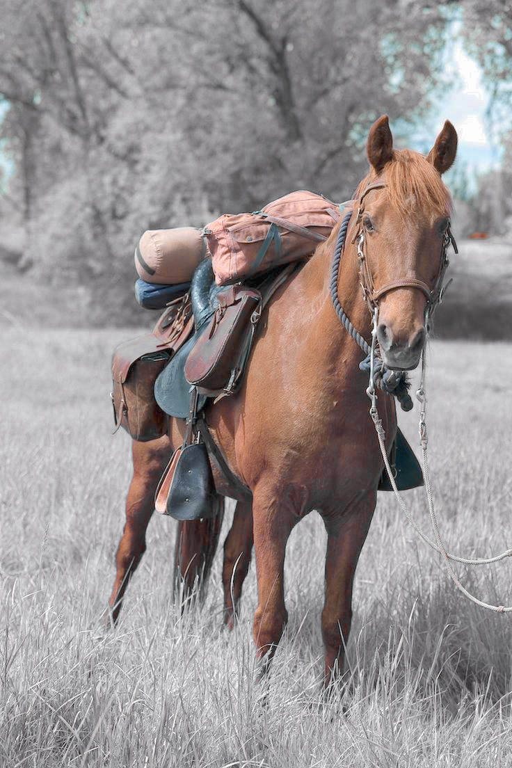 「 𝑵𝑨𝑻𝑨𝑺𝑯𝑨 𝑹𝑶𝑴𝑨𝑵𝑶𝑭𝑭 .ᐟ 」 tweet media