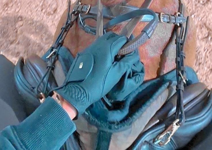 「 𝑵𝑨𝑻𝑨𝑺𝑯𝑨 𝑹𝑶𝑴𝑨𝑵𝑶𝑭𝑭 .ᐟ 」 tweet media