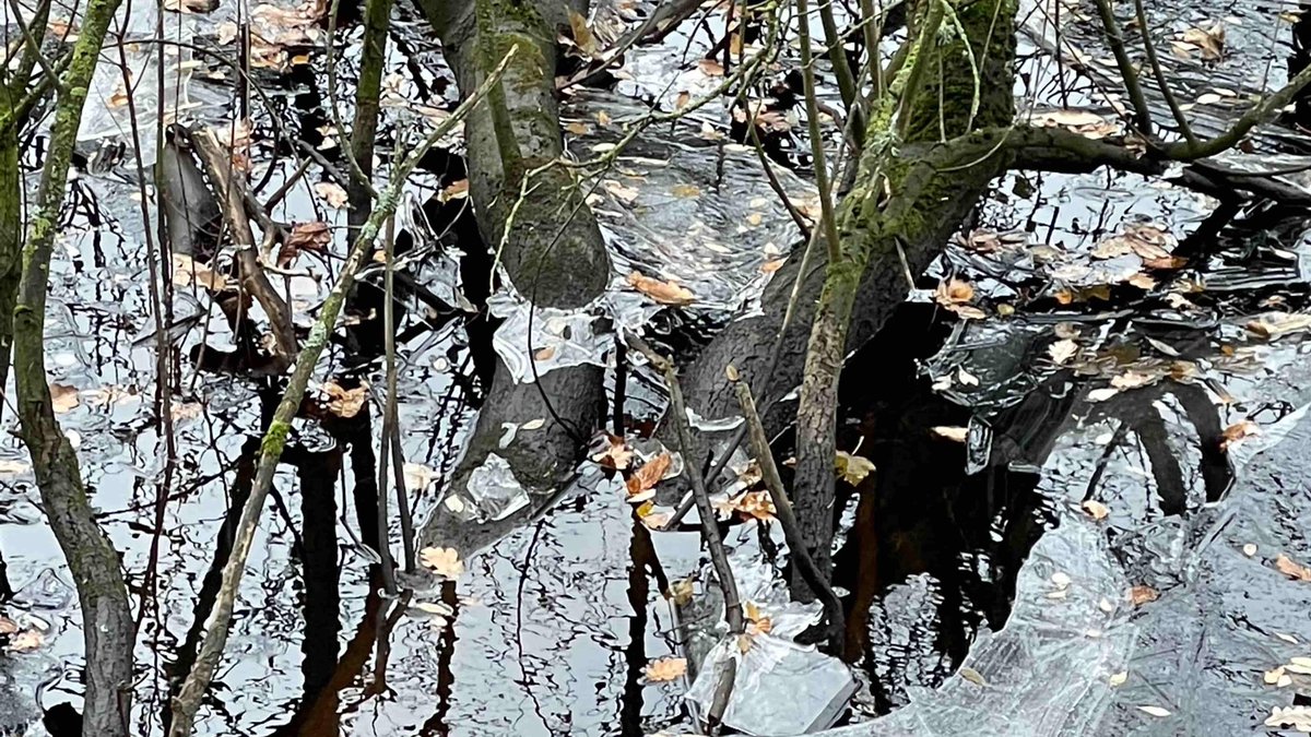 walk_draw's tweet photo. Ice on water. A winter walk 

#WalkDraw #walking #WalkingArtists #DrawingWater #drawing #process #ExperimentalDrawing #elemental #elements @Ruth_HBroadbent https://t.co/eoh8Y6BRdM