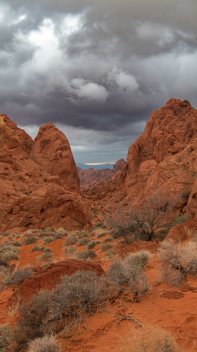 Fletcher Aerial Solutions tweet media