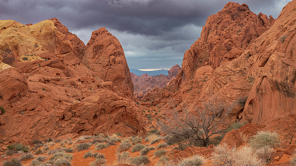 Fletcher Aerial Solutions tweet media