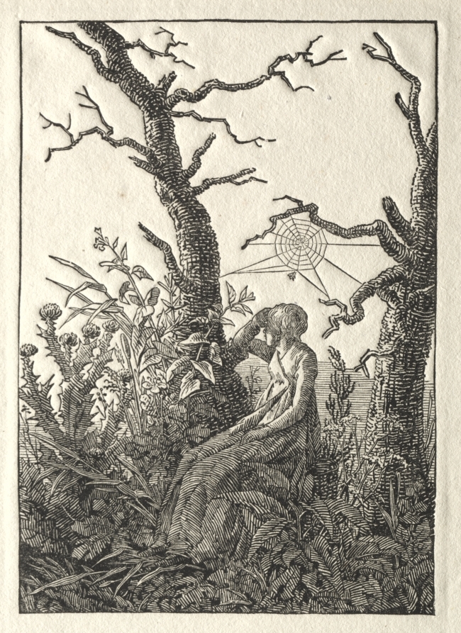 Caspar David Friedrich, The Woman with the Spider Web between Bare Trees, 1803 #museumarchive #clevelandartmuseum clevelandart.org/art/1995.68