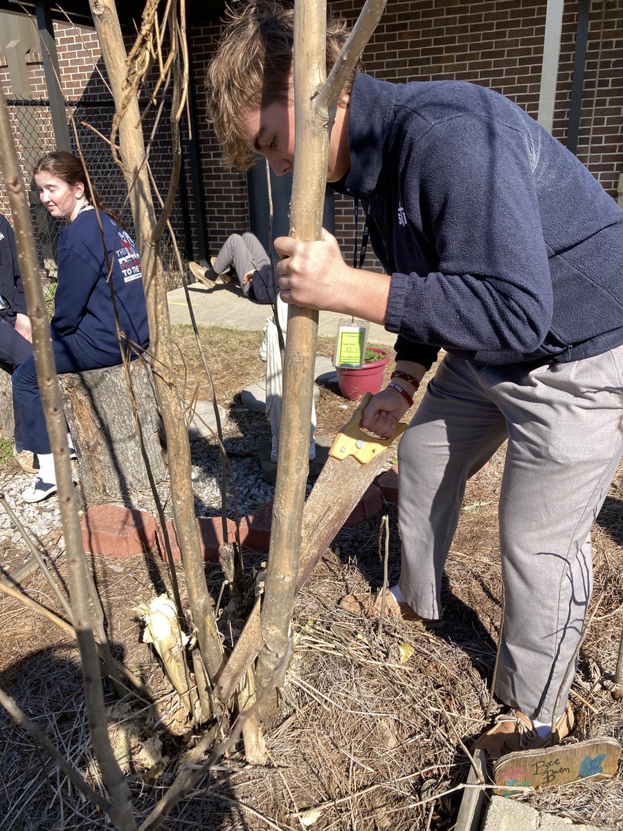 STM Env Science tweet media