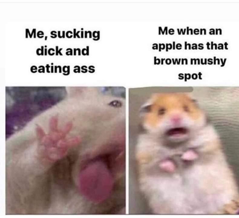 Heklina (@heklina) on Twitter photo 