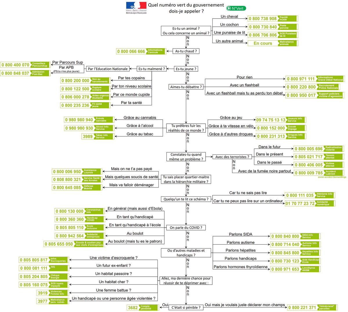 William Réjault tweet media
