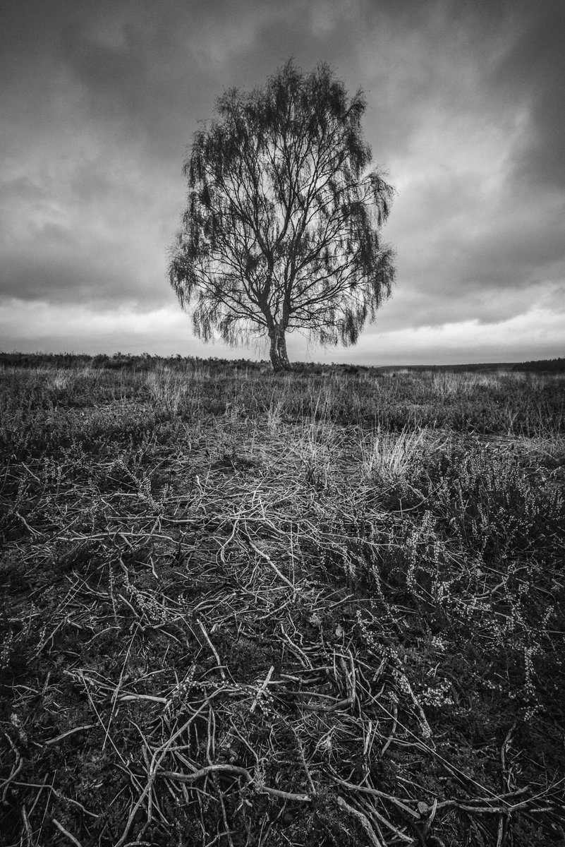 StuWPhotography's tweet photo. https://t.co/8GIm8vZWxc