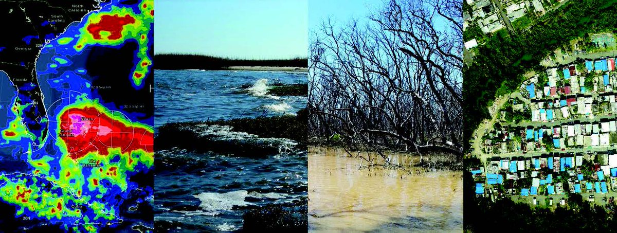 David Lagomasino (@dlagomasino) on Twitter photo Ever wonder about how changes in <a href="/Mangroves/">Global Mangrove Alliance</a> are affecting flood protection benefits in #cyclone prone regions? So do we!
<a href="/SidNarayanMA/">Siddharth Narayan</a> & I are looking for a #postdoc to help answer this question & connect <a href="/NASAEarth/">NASA Earth</a> data with hydrodynamic models. Ever wonder about how changes in <a href="/Mangroves/">Global Mangrove Alliance</a> are affecting flood protection benefits in #cyclone prone regions? So do we!
<a href="/SidNarayanMA/">Siddharth Narayan</a> & I are looking for a #postdoc to help answer this question & connect <a href="/NASAEarth/">NASA Earth</a> data with hydrodynamic models.