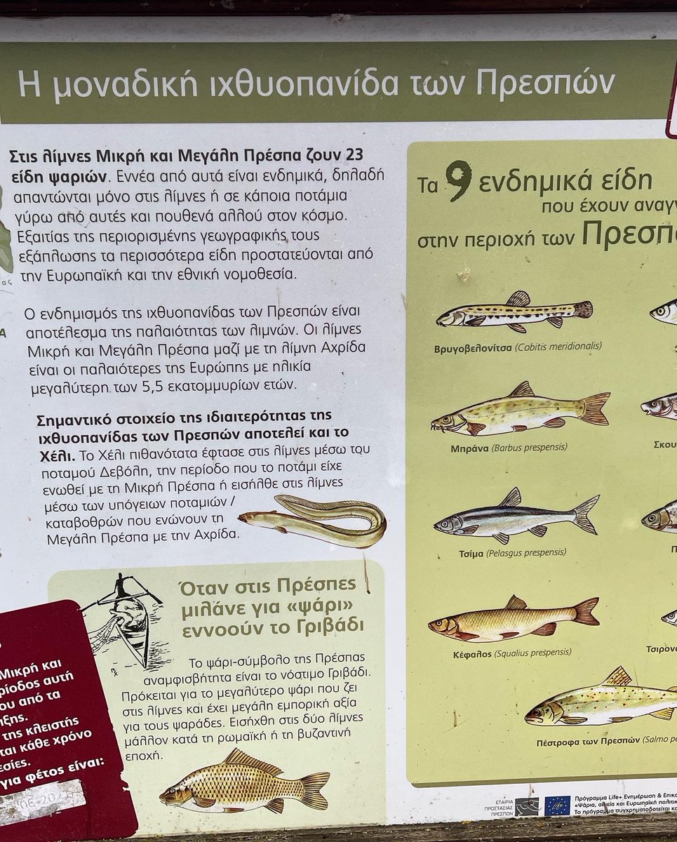 EliasDemianE's tweet photo. Walking through Florina - a Greek region highly supported by the @LIFEprogramme over the last 15 years for sustaining biodiversity. From the Prespa lakes to Aminteon, the presence of the programme is highly noticeable. Well done @LIFEprogramme, well done LIFE beneficiaries. https://t.co/BBxZGnmNtu