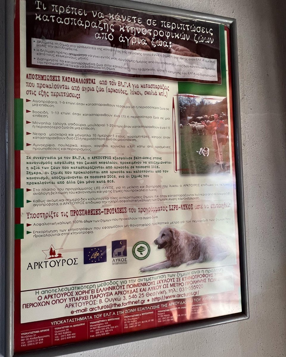 Walking through Florina - a Greek region highly supported by the <a href="/LIFEprogramme/">LIFE Programme</a> over the last 15 years for sustaining biodiversity. From the Prespa lakes to Aminteon, the presence of the programme is highly noticeable. Well done <a href="/LIFEprogramme/">LIFE Programme</a>, well done LIFE beneficiaries.