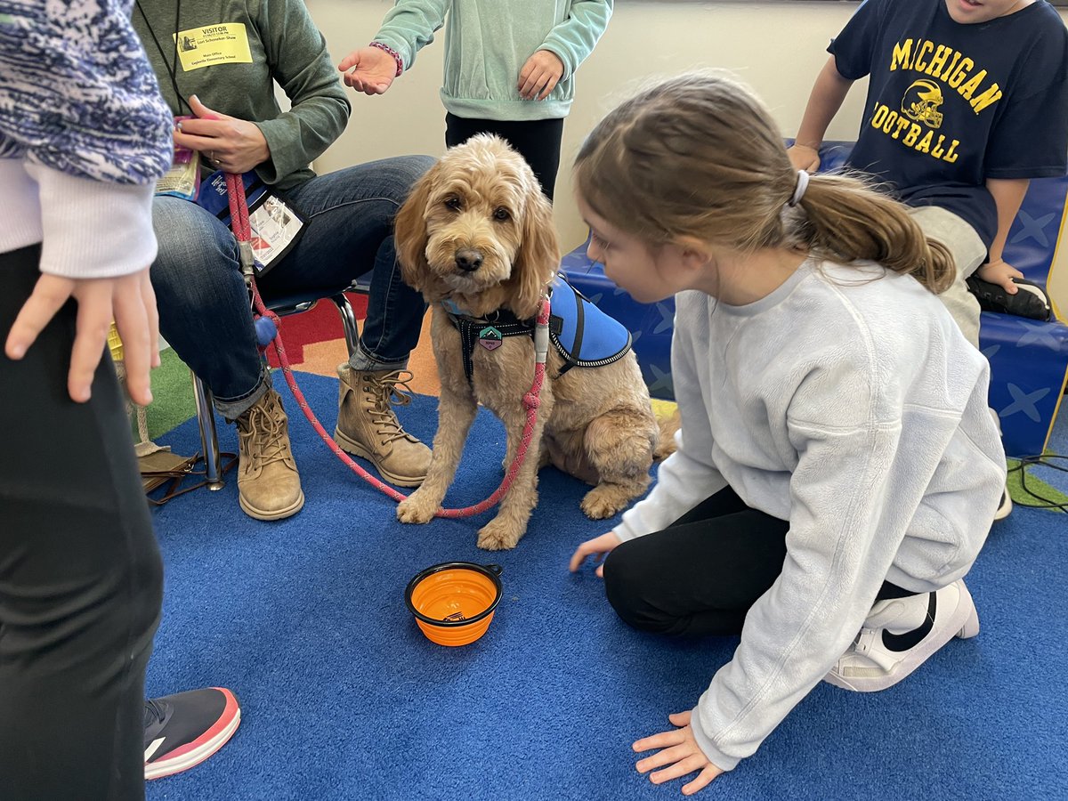 Alison Navarrete tweet media