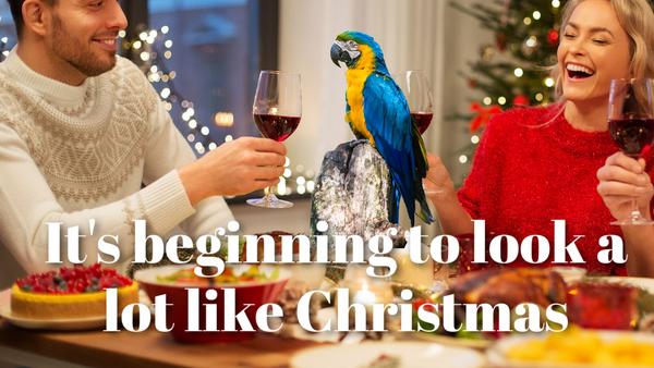 BirdSupplies's tweet photo. Holidays don't just mean hectic times for us humans, but they can really make birds extremely nervous. Make sure you prioritize your birds' comfort this holiday season with these useful tips, so everyone can have a calmer, happier time.
.
https://t.co/imGkHXXCCQ
.
#birdsupplie... https://t.co/IsNWTDCGnv