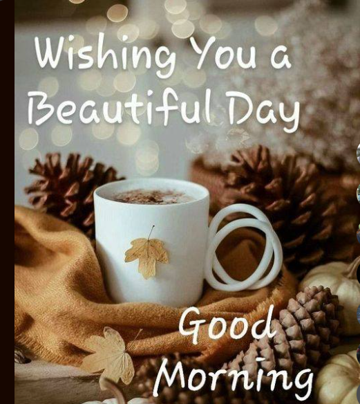 chloe_christa's tweet photo. Good morning😍#best #GoodMorningTwitterWorld #NEW #Singaporean #LosAndes #believeallwomen #bestfriends #beautifulgirl #Flowershow2023 https://t.co/7eo4cVigdZ