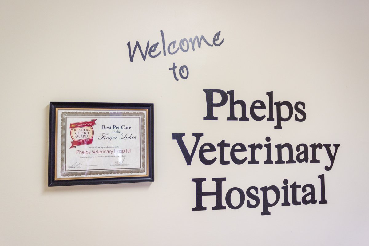 Phelps Veterinary Hospital tweet media