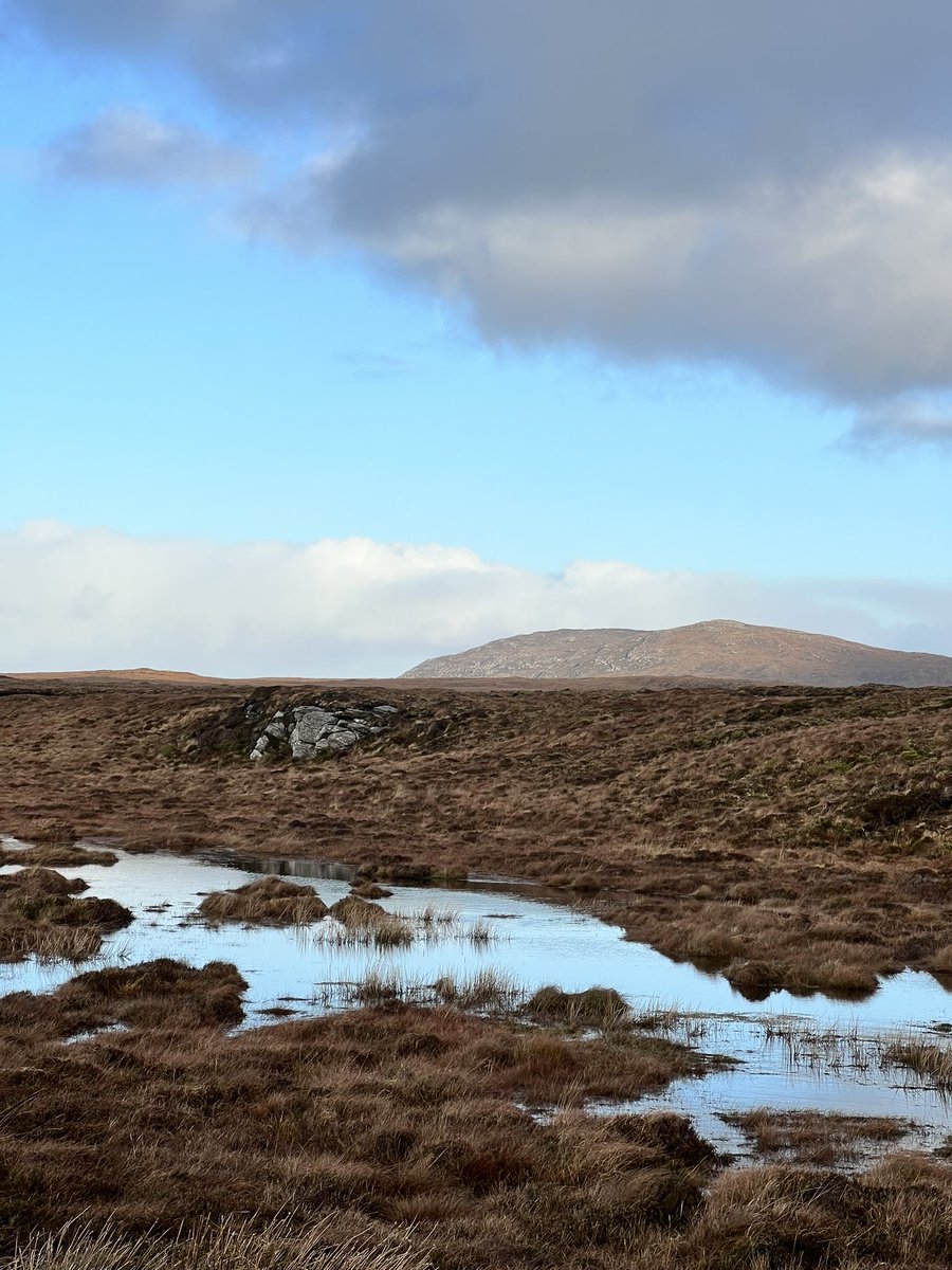 Mostlywind's tweet photo. Out for fresh air and a jaunt with the man flu suffering hubby @ColinMiller56 … he tells me he’s feeling much better now! #LifeOnLewis #LivingOurBestLife https://t.co/KLksHwQ1ax