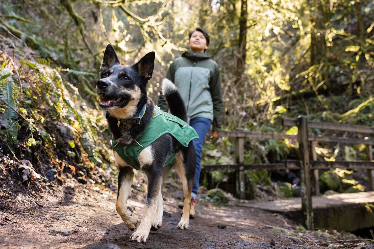 We’ve got your quick-start guide to finding dog-friendly trails in your neck of the woods (or wherever you’re headed next). So grab your leash, round up your pup, and let’s hit the trail. 

Click the link below to learn more. 🐾🥾 ruffwear.co.uk/blogs/explored…