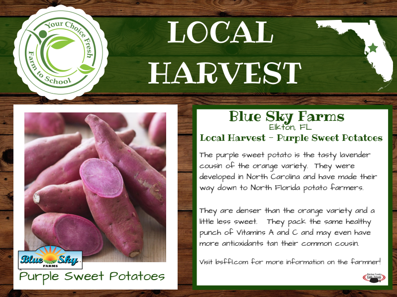 yourchoicefresh's tweet photo. Purple Sweet Potatoes are the Local Harvest today in our cafes!  Thank you to @BlueSkyFarms for the harvest to share with our students! https://t.co/YUdVJLYYnF