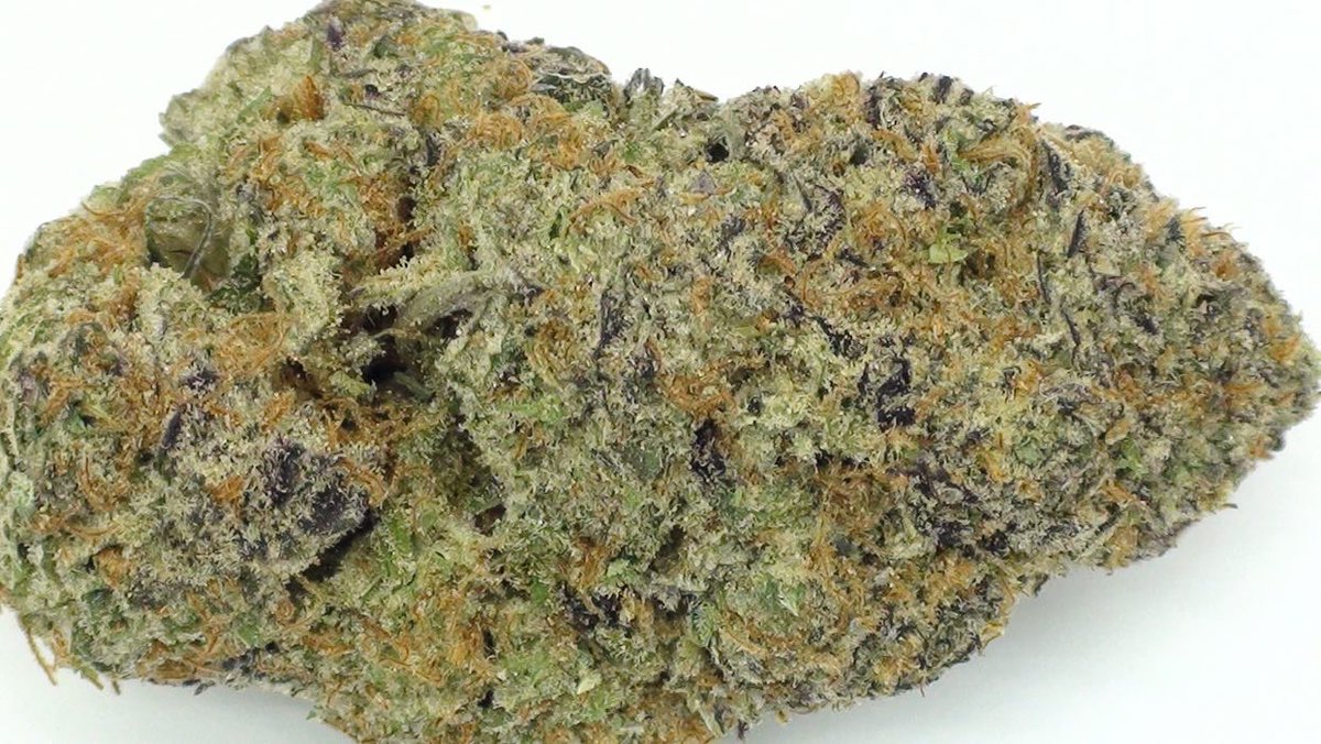 Bobs Bomb Buds tweet media