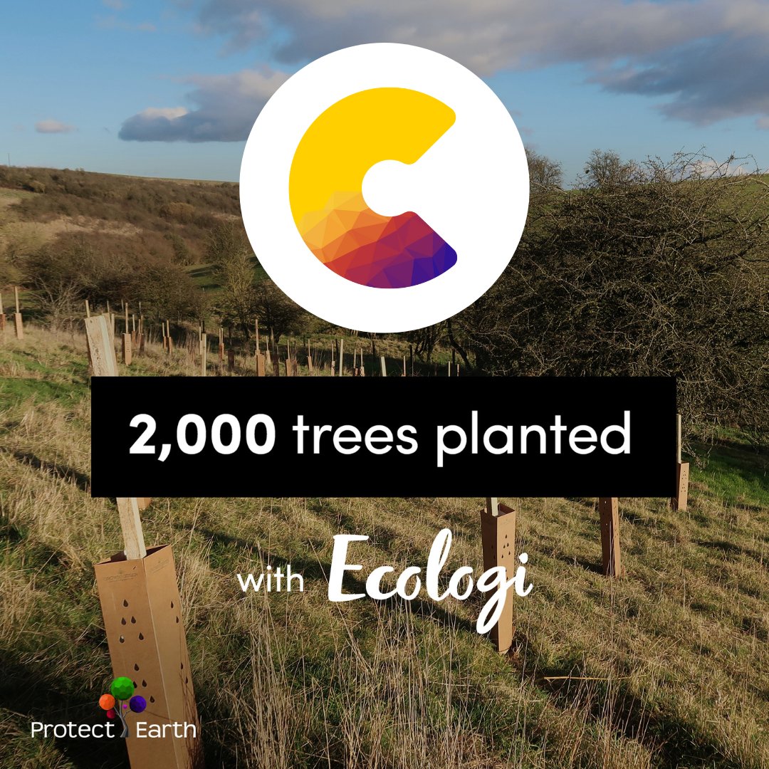 Coconut Marketing tweet media