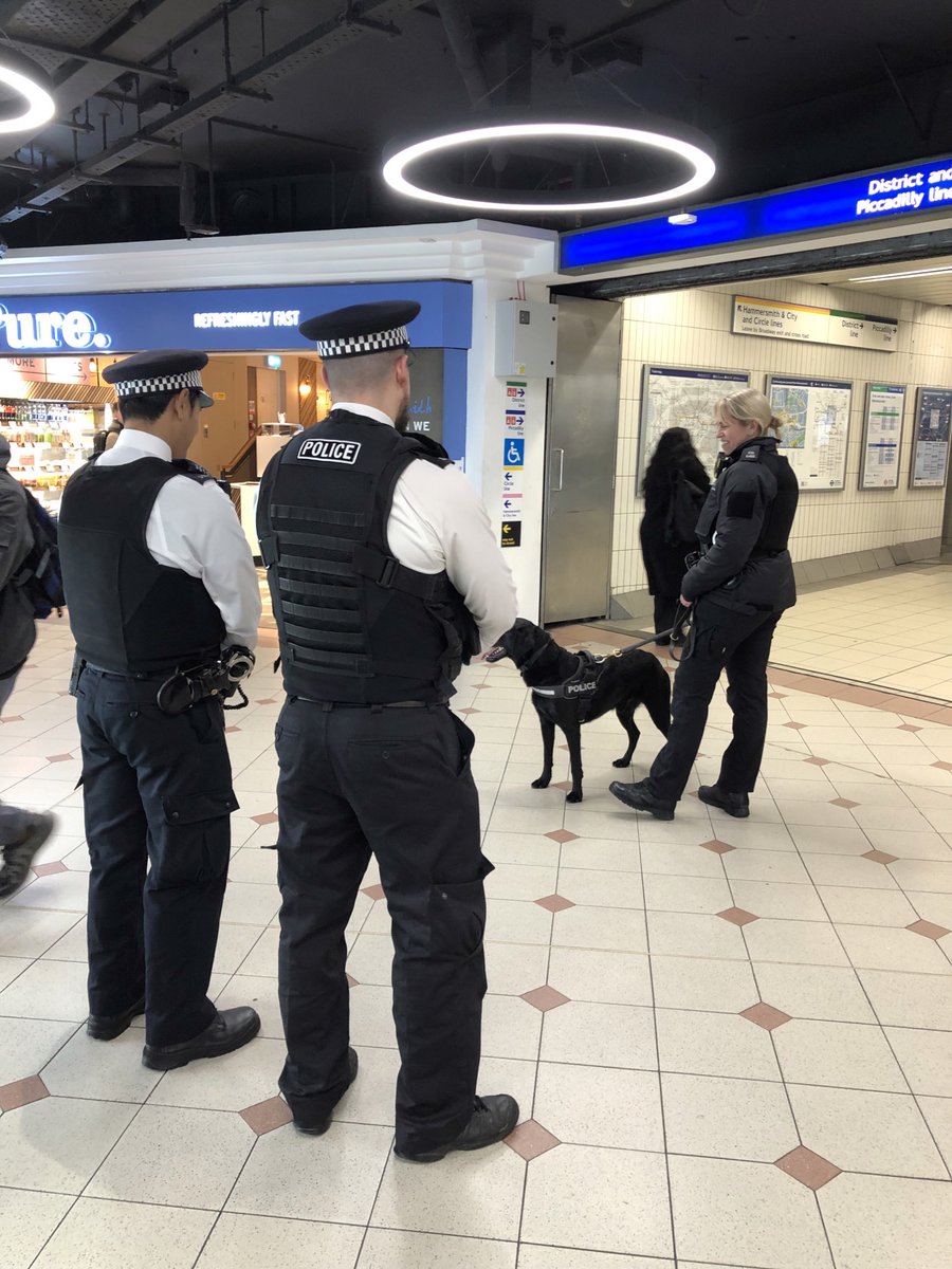 MPSRTPC's tweet photo. You may have spotted a lovely @MPSTaskforce  police dog along with his new Safer Transport colleagues at @MPSHammFul transport hub yesterday. Just a reminder to pay your fare, don't carry drugs, knives or weapons and you have nothing to worry about. Thank you. https://t.co/lecvrnCVfB