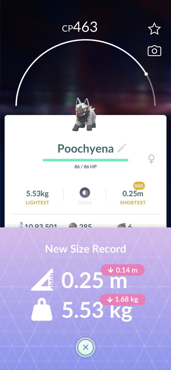 r2rohan's tweet photo. ??? #pokemongo #pokemongoindia #pokemongofriends #pokemongousa https://t.co/FaOmGD42ka