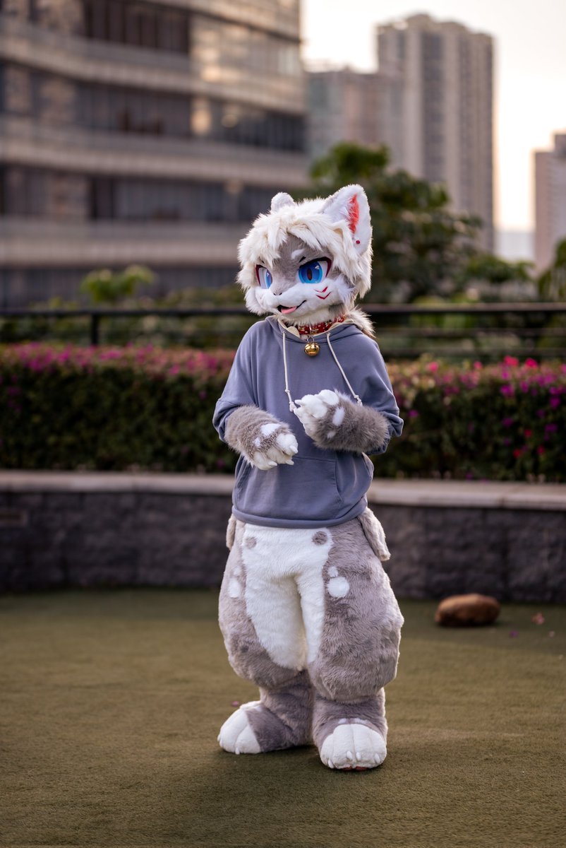 #FursuitFriday 小短腿……！