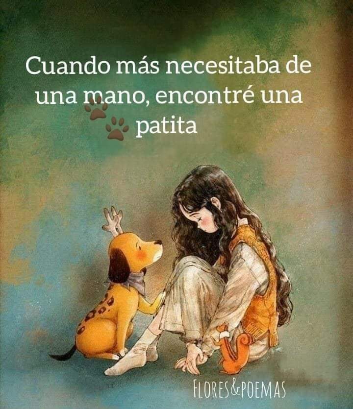 Sin duda, nuestros mejores amigos ❤️🐶