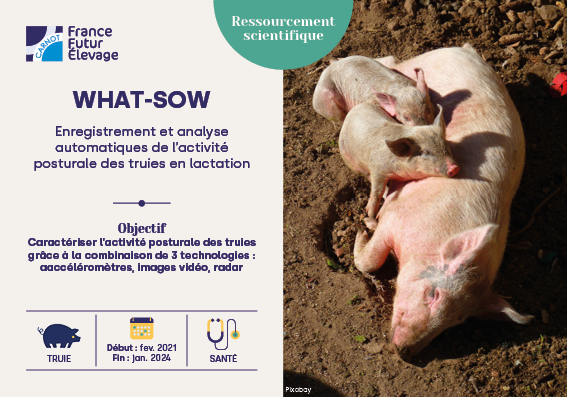 Carnot_F2E's tweet photo. A l’occasion des #JRP
📅Du 31 janv-1 fév
Mettons à l'honneur des projets Carnot F2E liés aux 🐖
➡Découvrez WHAT-SOW - Enregistrement et analyse automatiques de l’activité posturale des truies en #lactation
@INRAE_France @IFIP_inst_porc #Genphyse @INRAE_DPT_GA @INRAE_Tlse https://t.co/gRtdqdNiov