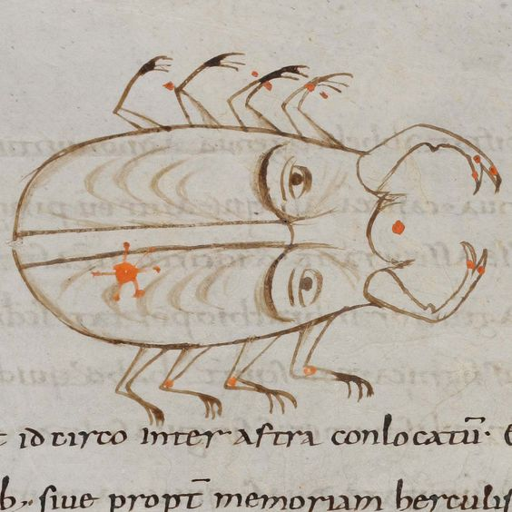 WeirdMedieval's tweet photo. normal crab, switzerland, 9th century https://t.co/tZ0SqIHY4u