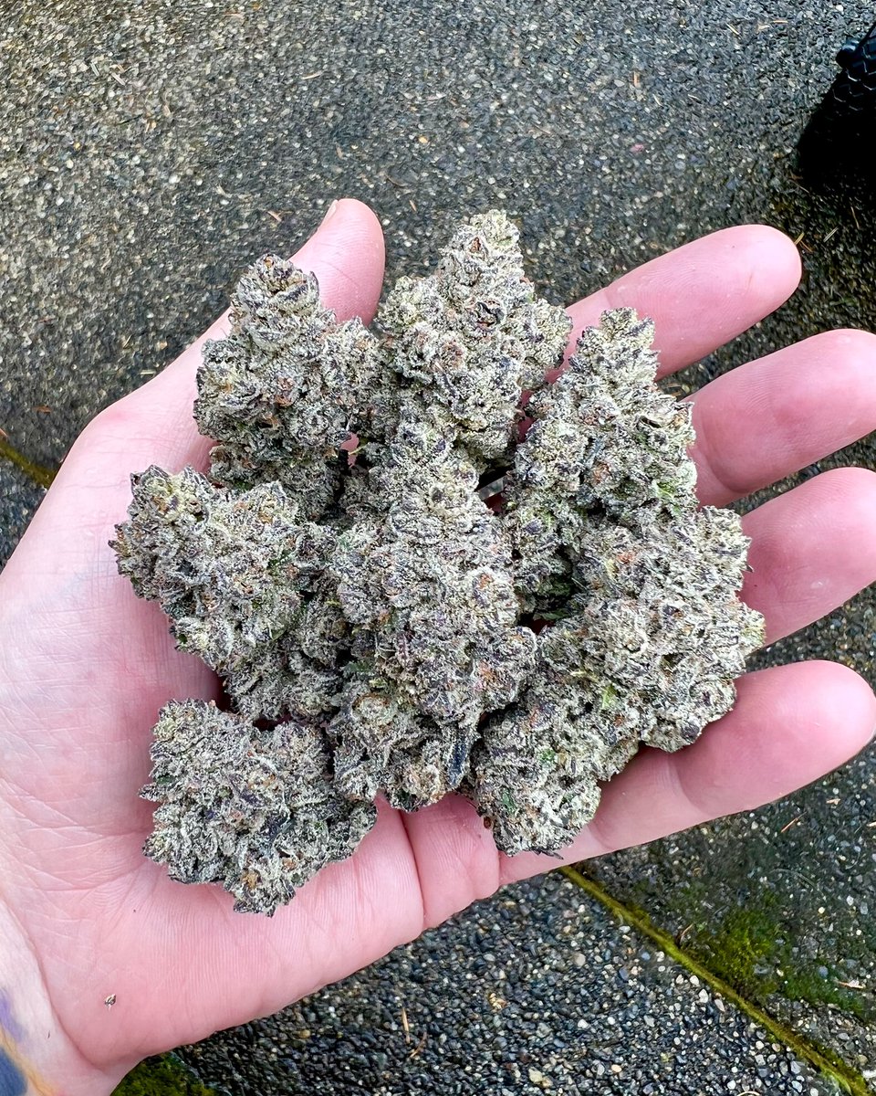 Happy Friday Nuggets!!! #exoticgenetix #Itsalifestyle