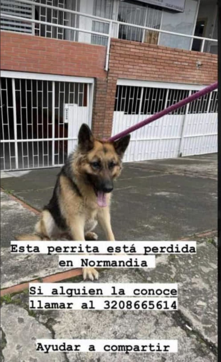 laurarubiogu's tweet photo. 🆘🆘 https://t.co/dlPSs2X4pV