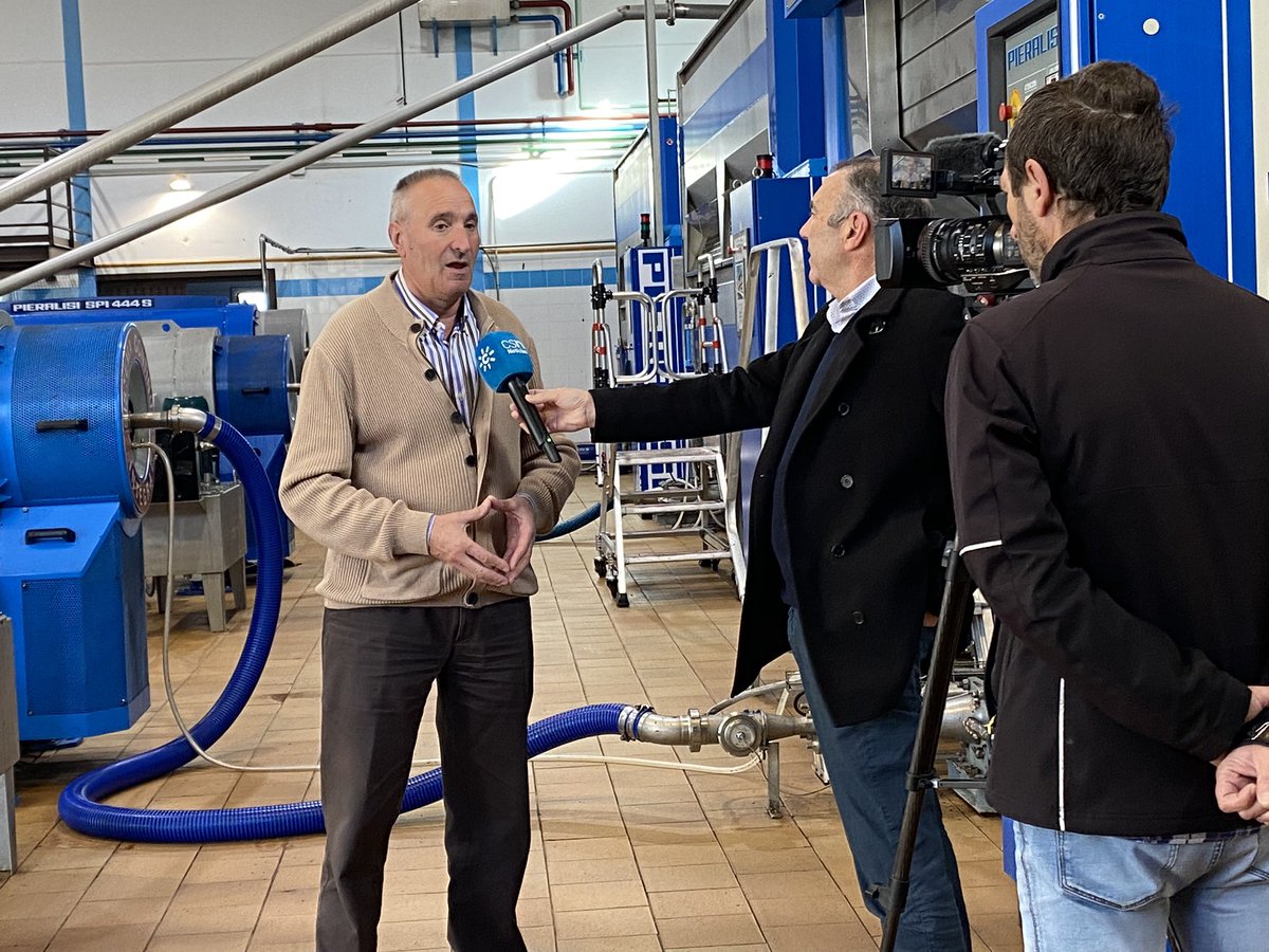 D.O.P. Sierra Mágina tweet media