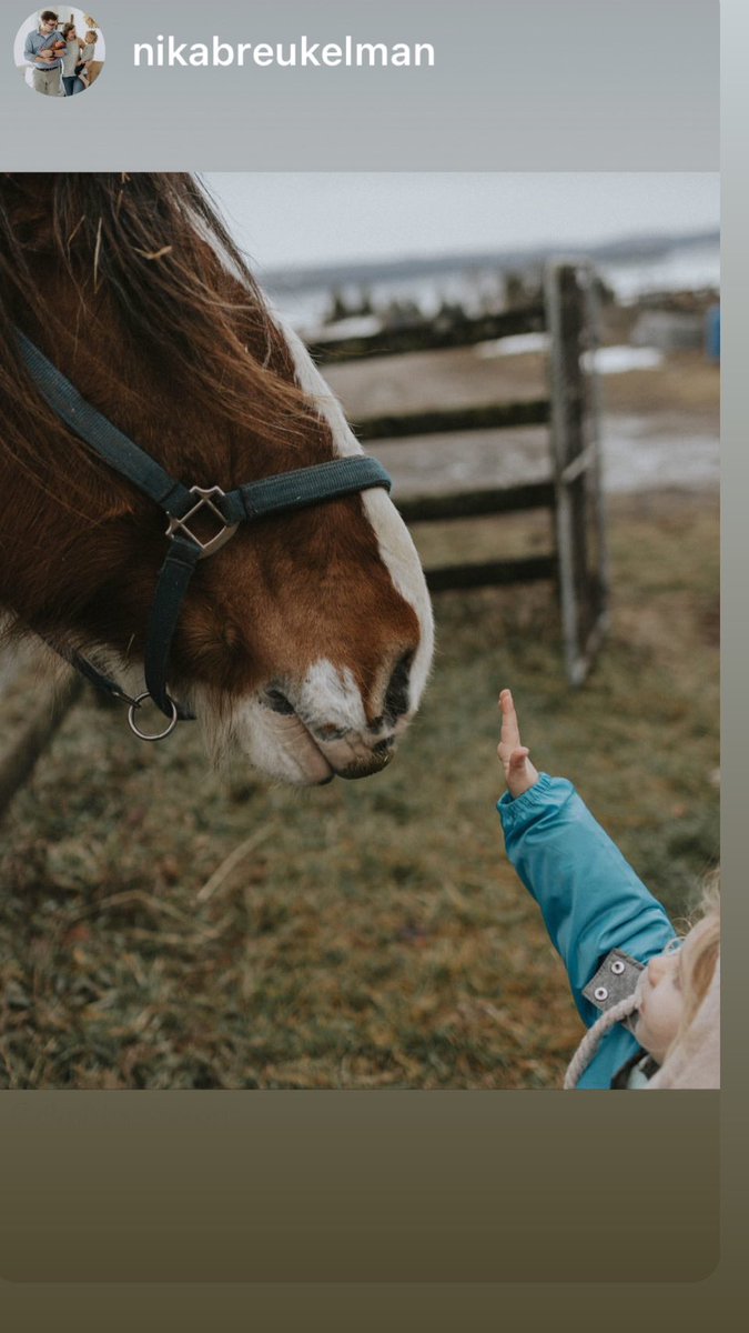ElmhirstsResort's tweet image. Our horses love a visit -
Pretty sweet photos shared by guest @nikabreukelman 
#elmhirstplay #farmlife #goresorting #ontariotravel #thekawarthas