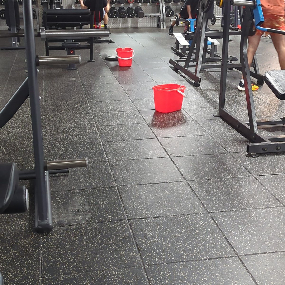 AWallworth's tweet photo. Now Now, what do we have here... @TotalFitness #whitefield #gym #Premium is somebody mopping the floor ... No, it's the buckets they put out around the gym floor to catch the rainfall ....for the past 2 years! https://t.co/yywgsLrruA