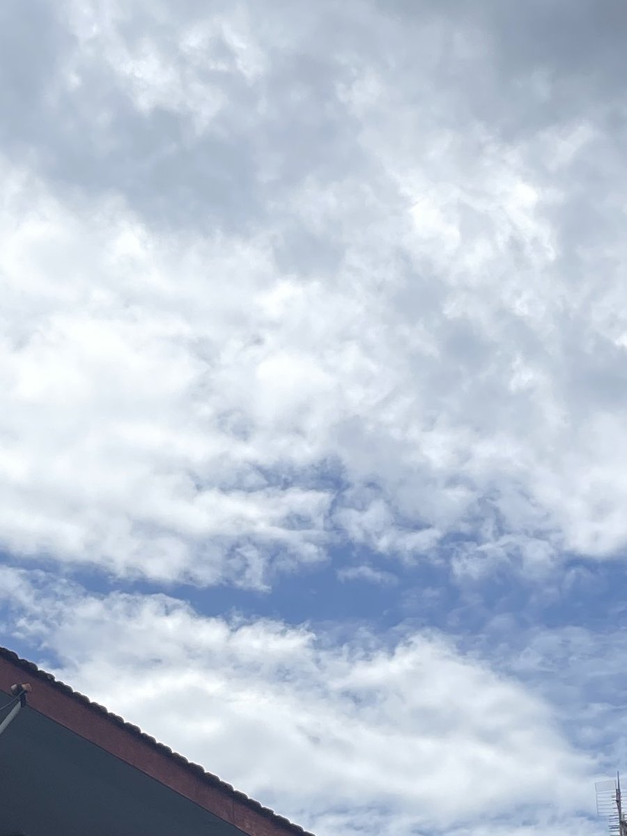 studwithlea's tweet image. 🪄 O6 / O1 — today my school came home early yeayyy