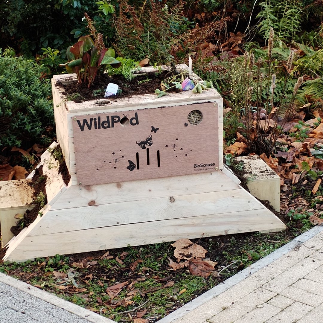 BioScapesUK's tweet photo. Happy Friday everyone! Thanks to @LivUni @livunisustain for sharing this shot of our #WildPod. We installed 10 units in total last month on campus, with the help of the university team. #LiverpoolUniversity #biodiversity #environmentalism #liverpool @lpoolcouncil https://t.co/eS1JhOrpei