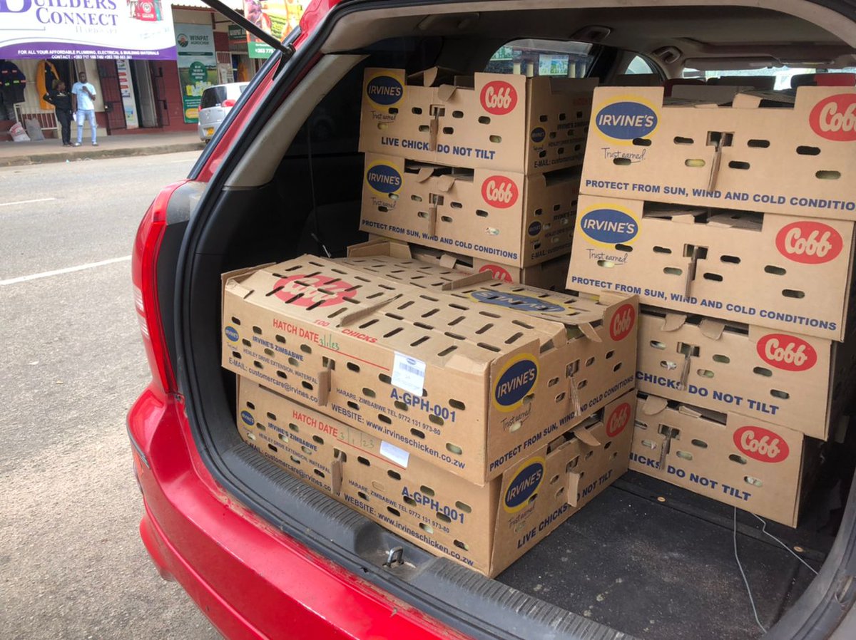 Another batch of 1000 broilers loading at our poultry farm in Beatrice. We were unfortunate to be crooked in November when this company sold us roadrunner chicks instead of broilers. We are not giving up so here we go again.  #RimaSomething