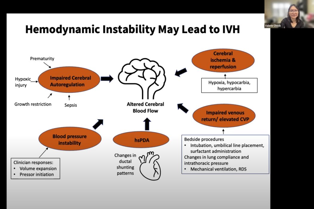 Dr. Valerie Chock's talk on Neurohemodynamics in the care of premature neonates is now on our YouTube channel: youtube.com/watch?v=urVIcc…
#neoTwitter