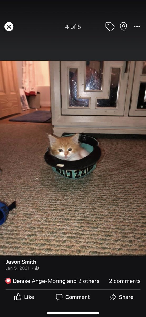 dodgefather99's tweet photo. @CrumblCookies @CrumblCookies  the cutest https://t.co/VOPhdwuwNV