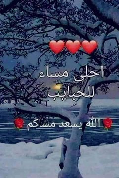 🌹مساء الورد والياسمين 🌹