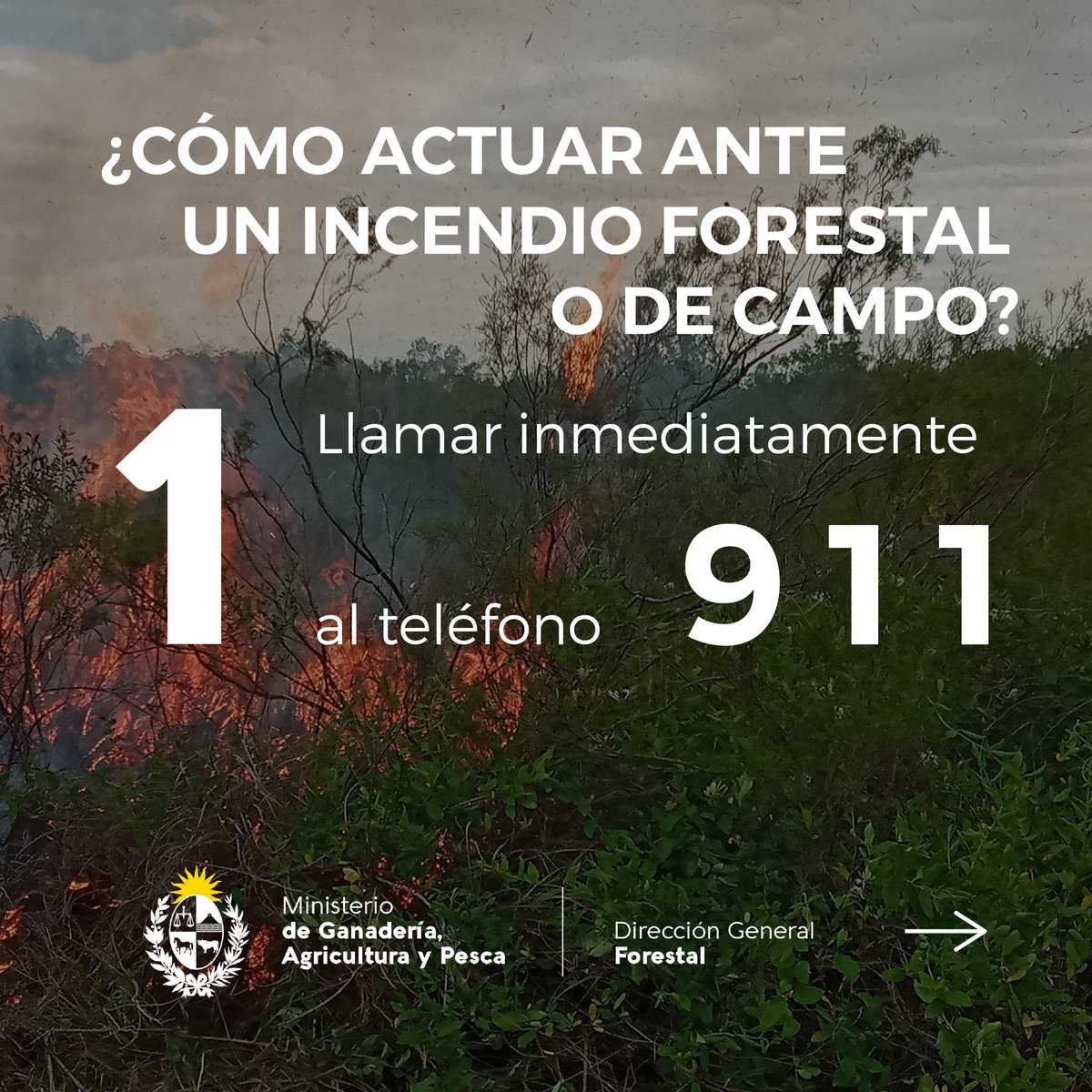 SocRuralDurazno's tweet photo. ¿Cómo actuar ante un incendio forestal o de campo?

1⃣Llamar inmediatamente al 9 1 1
2⃣Alertar a vecinos y coordinar acciones con ellos
3⃣Limpiar el área de elementos combustibles para evitar el avance de las llamas

🔔Hasta el 30 de abril se prohíbe fuegos y quemas al aire libre https://t.co/YKtHbn6DNs