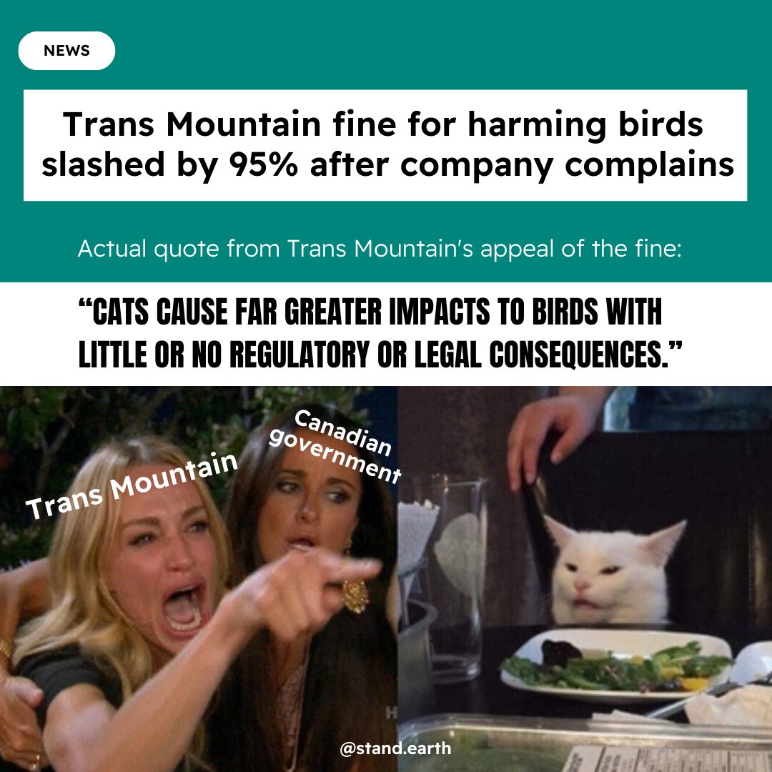 Trans Mountain was fined AGAIN for harming the environment – this time, birds. But thanks to its incredibly sophisticated arguments (like, how unfair is it that cats aren't paying up too??) the fine was slashed 95%

When will the govt cancel this boondoggle? #StopTMX