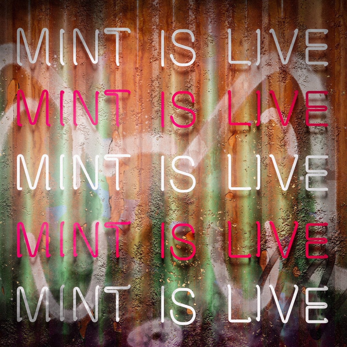 Wreck Deck Skate Club🛹 tweet media