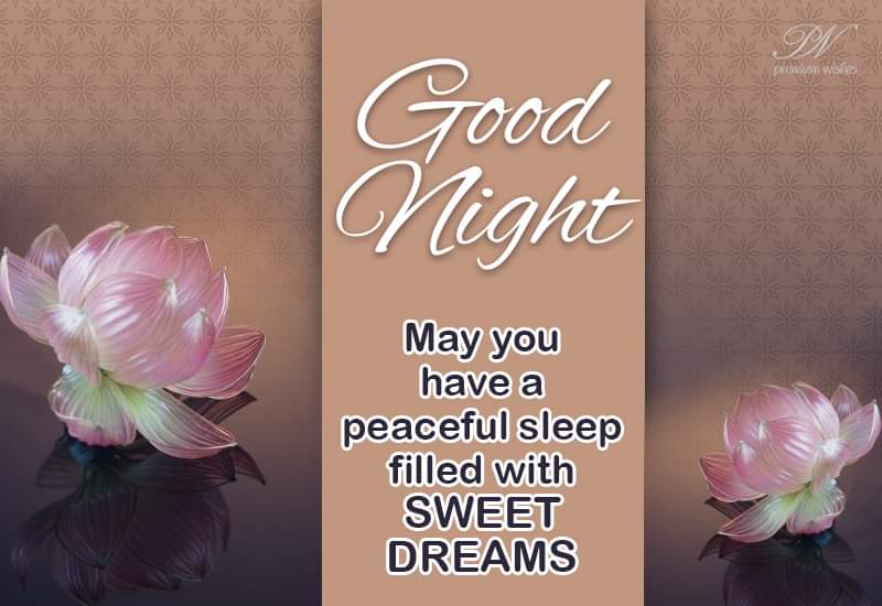 #Goodnight to all my #Friends across the world🌍 Have a #Wonderful #Evening #Takecare #Staysafe #StayHealthy God bless you🙏Love you all❤ #Peacefulsleep #Sweetdreams 🌆💚💐🙏🙏💕🌹💖👫💙😎🎸👭💛🌷🕊😇❤🌃 #Blessedweekend