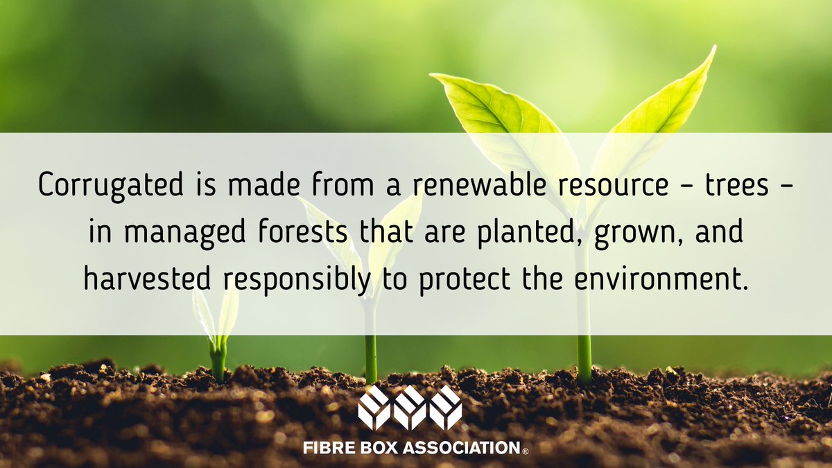 FibreBoxAssn's tweet photo. It's Fast Facts Friday! Corrugated is made from a #renewableresource – trees – in #managedforests that are planted, grown, and harvested responsibly to protect the environment. #corrugated #sustainable https://t.co/D6iydhTLtA
