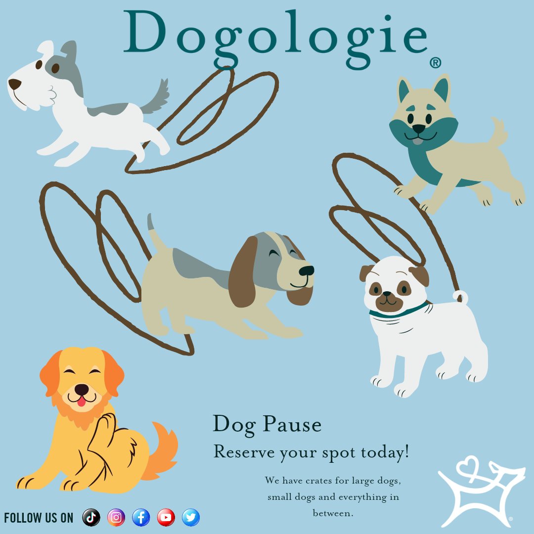 dogologie's tweet image. Need someone to look after your dog while you do some shopping? We've got you covered here! #dogologie #fredericksburgtx #dogologieservices