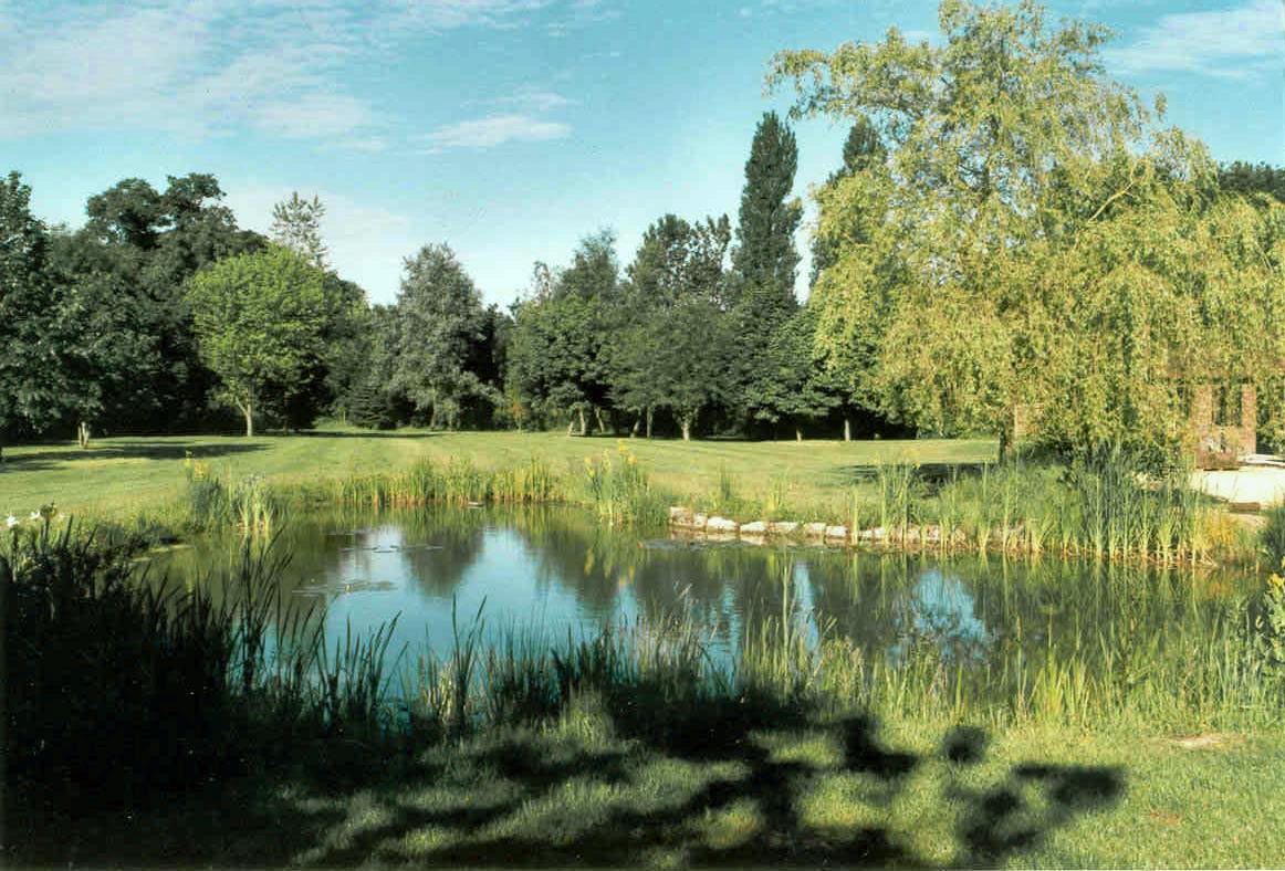 Looking towards sunnier times... 
Over the next week or so, we're posting pictures of ponds and water features completed over the last few years. To start, here are a couple of shots of a wildlife pond we made in a Berkshire garden a few years ago.
#Ponds #landscape #gardendesign