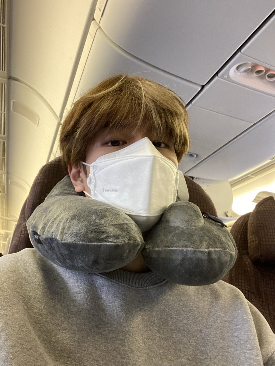 SAIL0RME0NG's tweet photo. ✨️ wallpapers (home screen/lockscreen)
✨️ last song
✨️ 7th photo
✨️ my lovely moots: @mnsvngsreveries @sinsofstrays @kittenchxn @BVNNYLIN0 and whoever wants to!! https://t.co/M07zyVborj