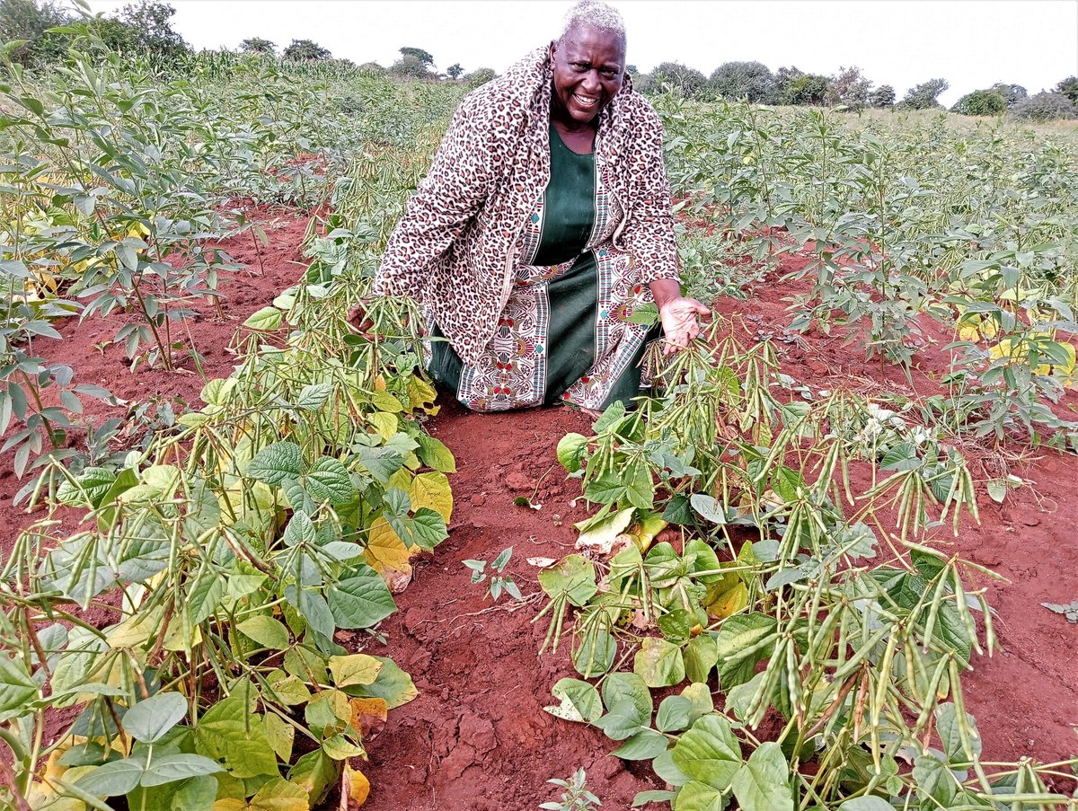 Great to visit this #farmer in #Makueni #Kenya to learn how she grows #greengrams using a ripper &amp; application of manure &amp; a soil conditioner in the rip lines. Variety is Biashara from <a href="/kalromkulima/">KALRO</a>. Good example of #soilmanagement &amp; #climatechange adaptation #SaveSoilMovement