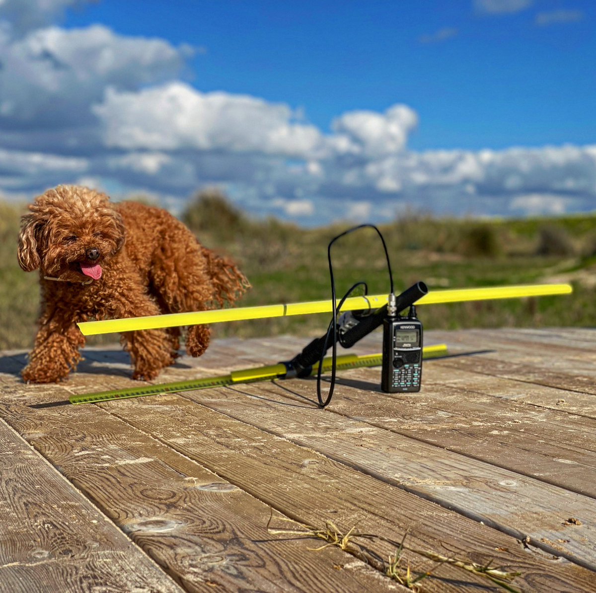 Dav Sennairton tweet media